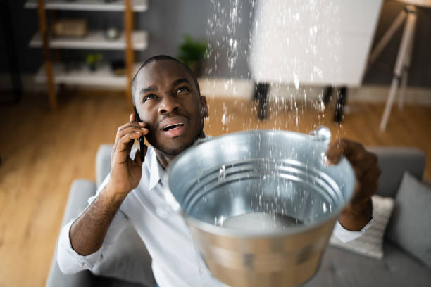 Best 24-hour water damage restoration  in Garwood, NJ