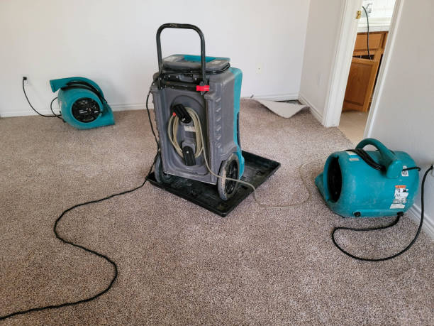 Best Flood restoration services  in Garwood, NJ