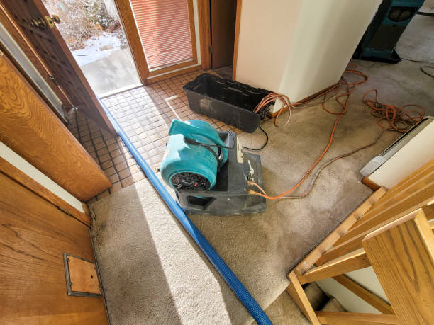 Best Sewage cleanup and water damage restoration  in Garwood, NJ