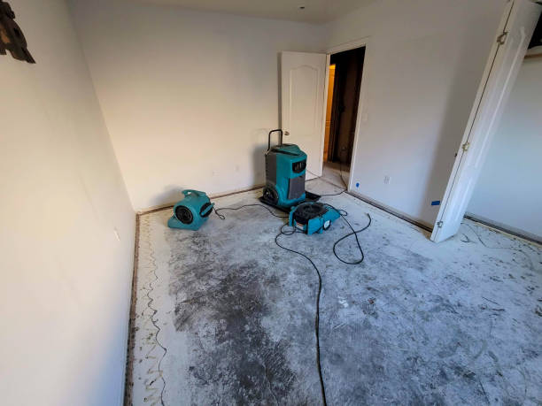 Reliable Garwood, NJ Water damage restoration Solutions