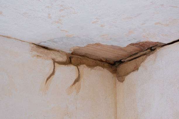 Best Emergency water damage restoration  in Garwood, NJ