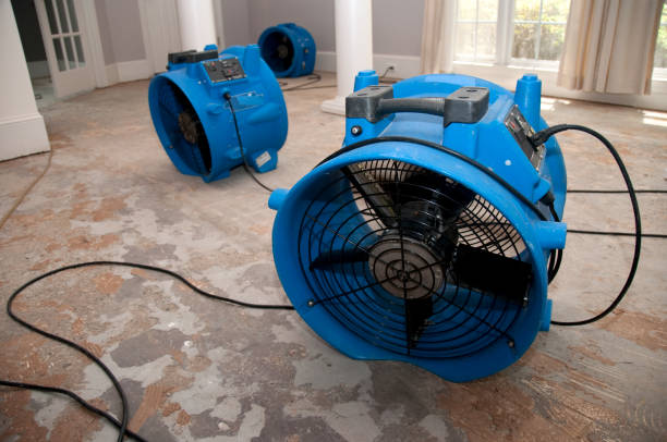 Best Professional water damage repair  in Garwood, NJ