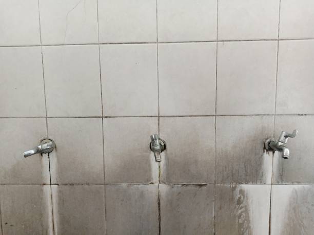 Best Water damage cleanup near me  in Garwood, NJ