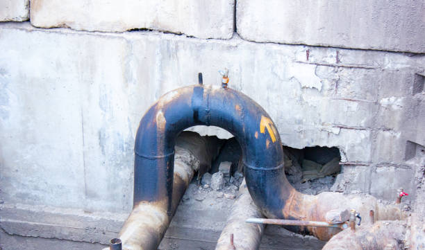 Best Professional water damage repair  in Garwood, NJ